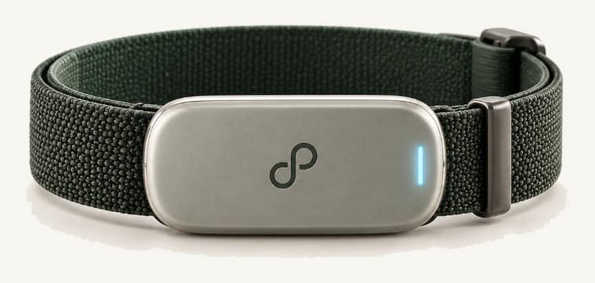 PawLink-Halsband, waldgrünes Gurtband, der Core sitzt vorn.